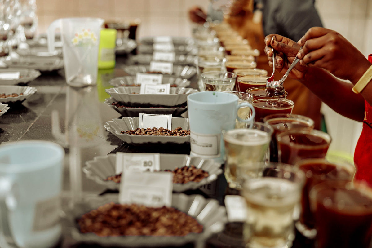 Why Freeze-Dried Coffee Beats Mass-Produced Instant Coffee