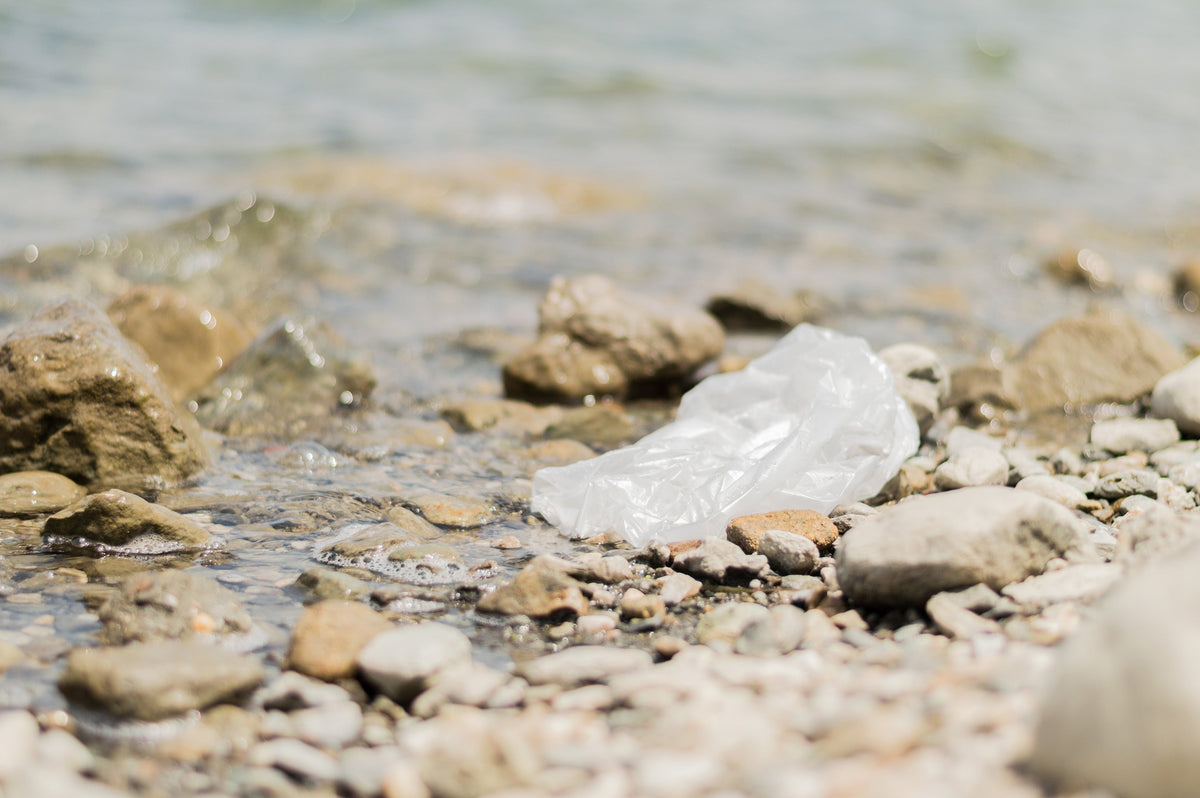 Why the Plastic-Free Packet is Better than AeroPress, Pour Over or Percolator