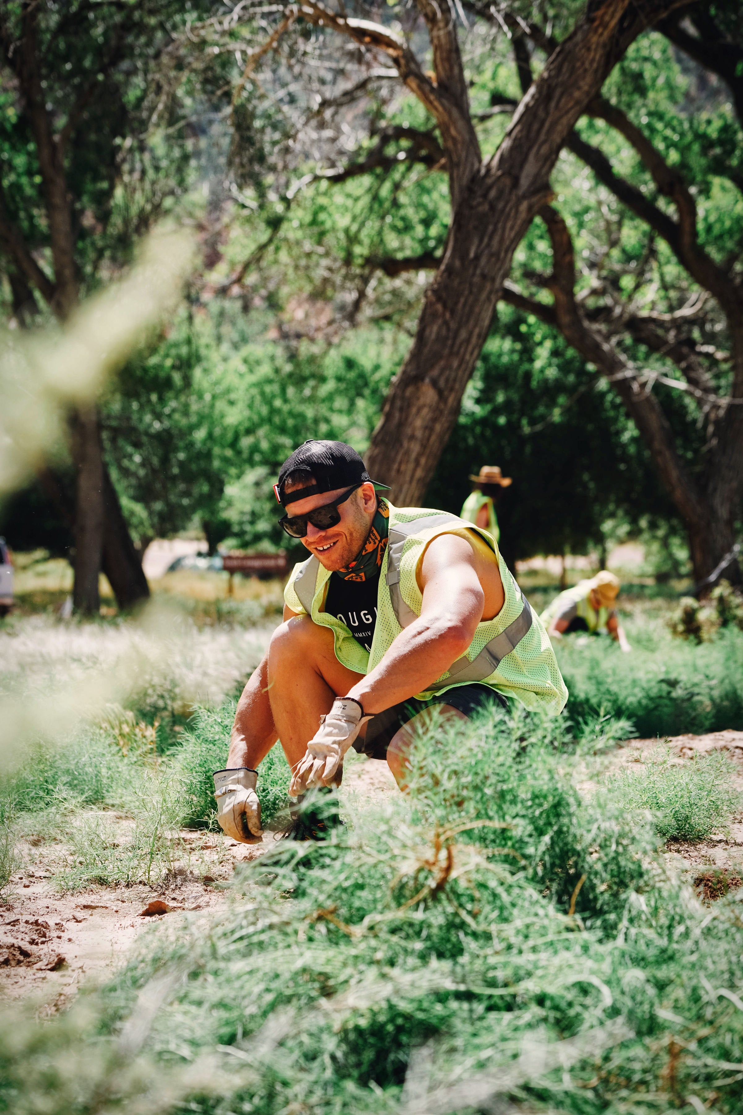 Person wearing bright safety vest cleaning up a wilderness area
